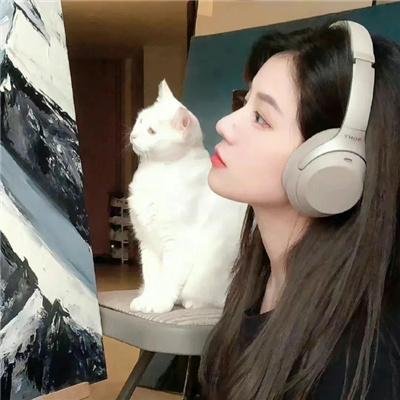 卡美娜万岁